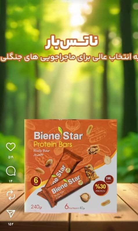 ناتس بار